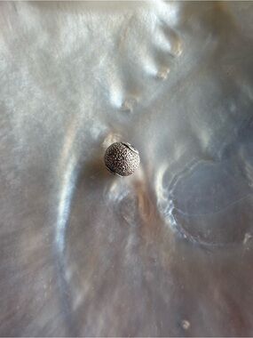 Pandora Essence Collection Textured Silver Bead Charm